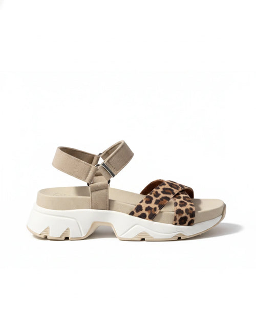 Allegra Animal Print