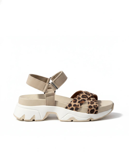 Allegra Animal Print