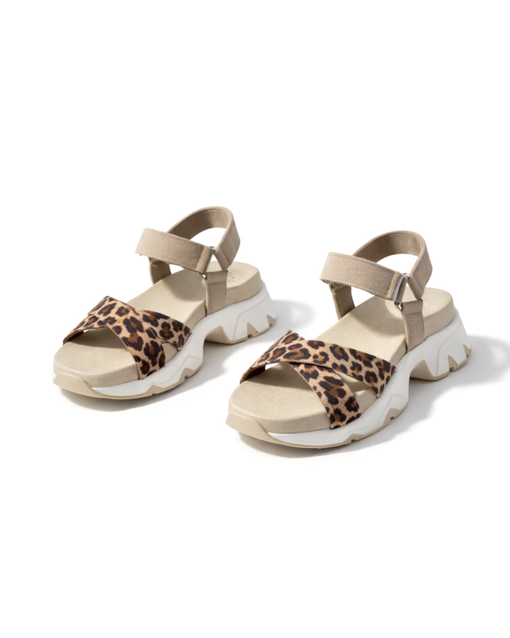 Allegra Animal Print